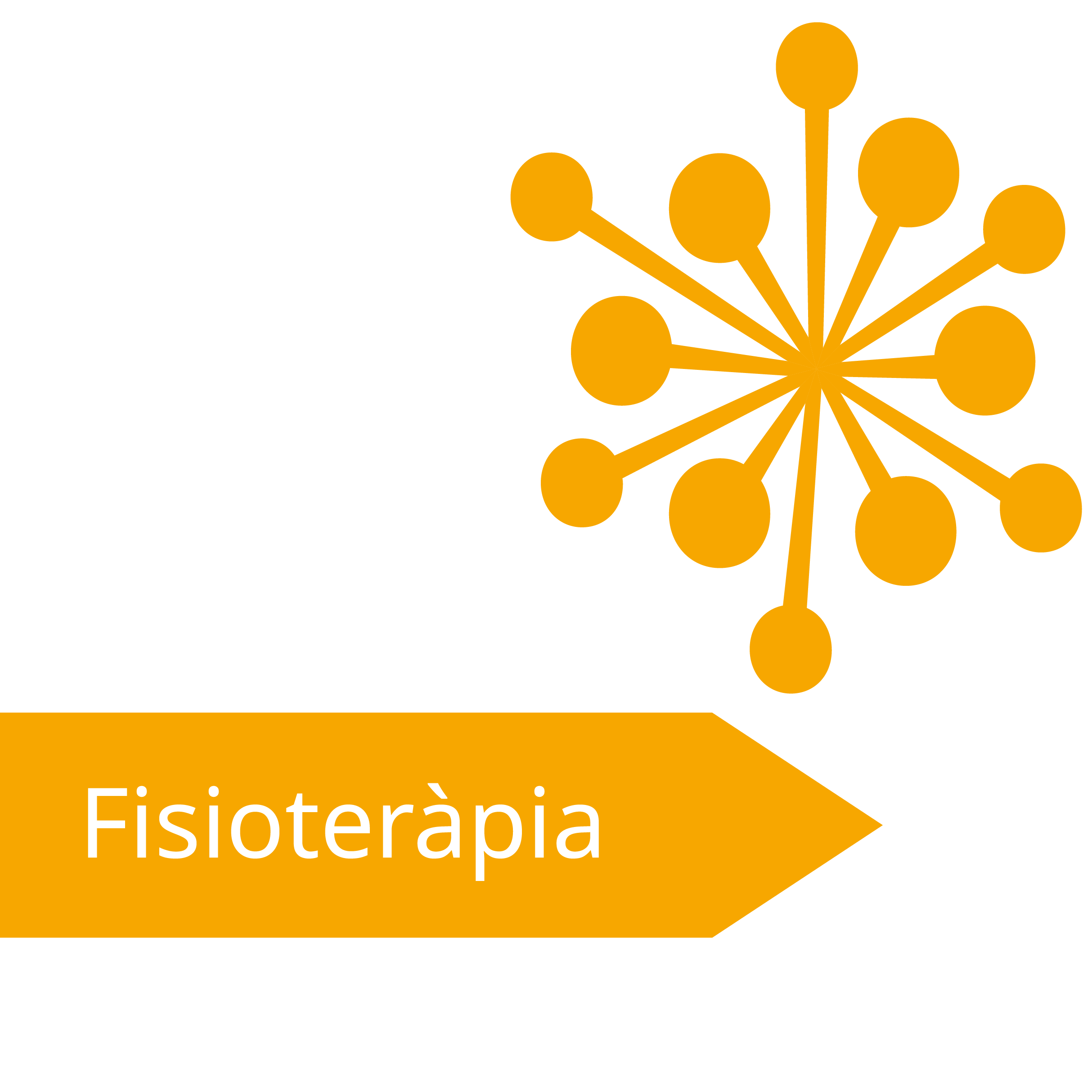 Fisioteràpia